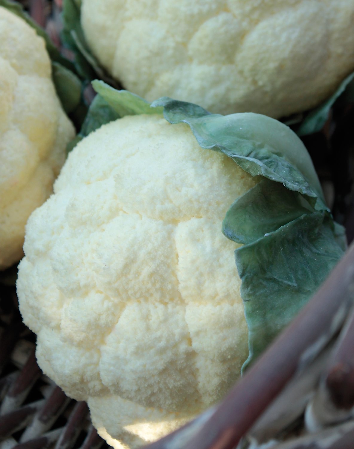 Artificial cauliflower, 16 cm, white-green