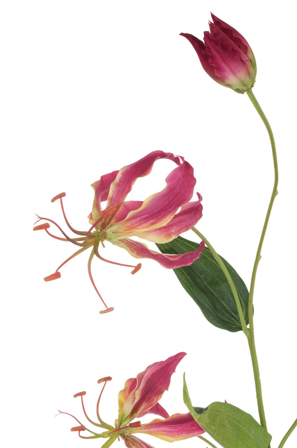 Kunstblume Gloriosa Rothschildiana, 82 cm, rosa-gelb