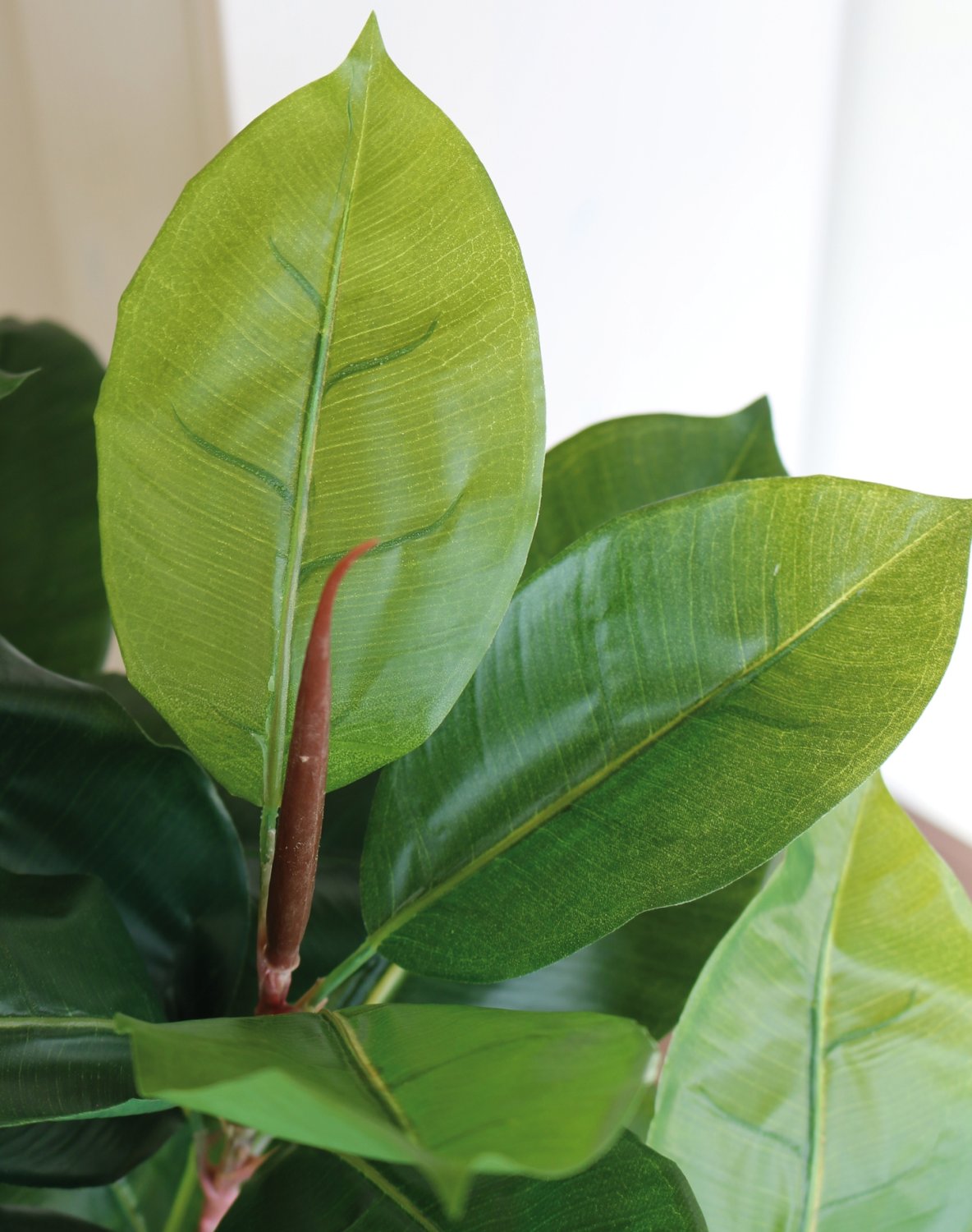 Künstlicher Ficus elastica (Gummibaum), getopft, 90 cm, grün