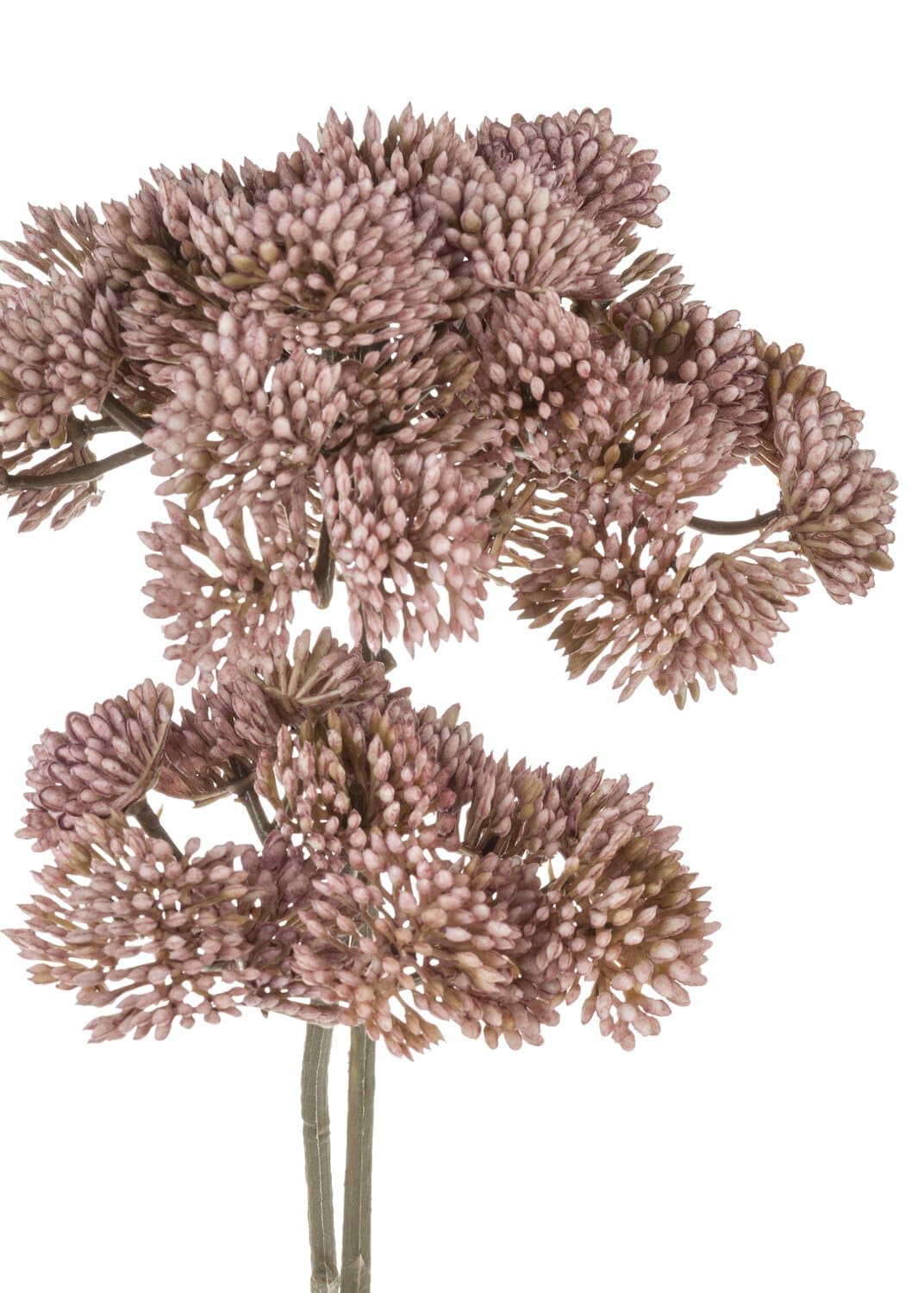 Artificial sedum branch "Vintage", 70 cm, antique dark pink