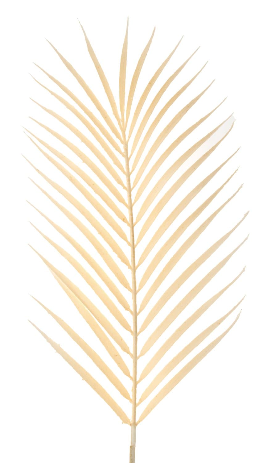 Deko Palmen Blatt, 81 cm, creme-gelb