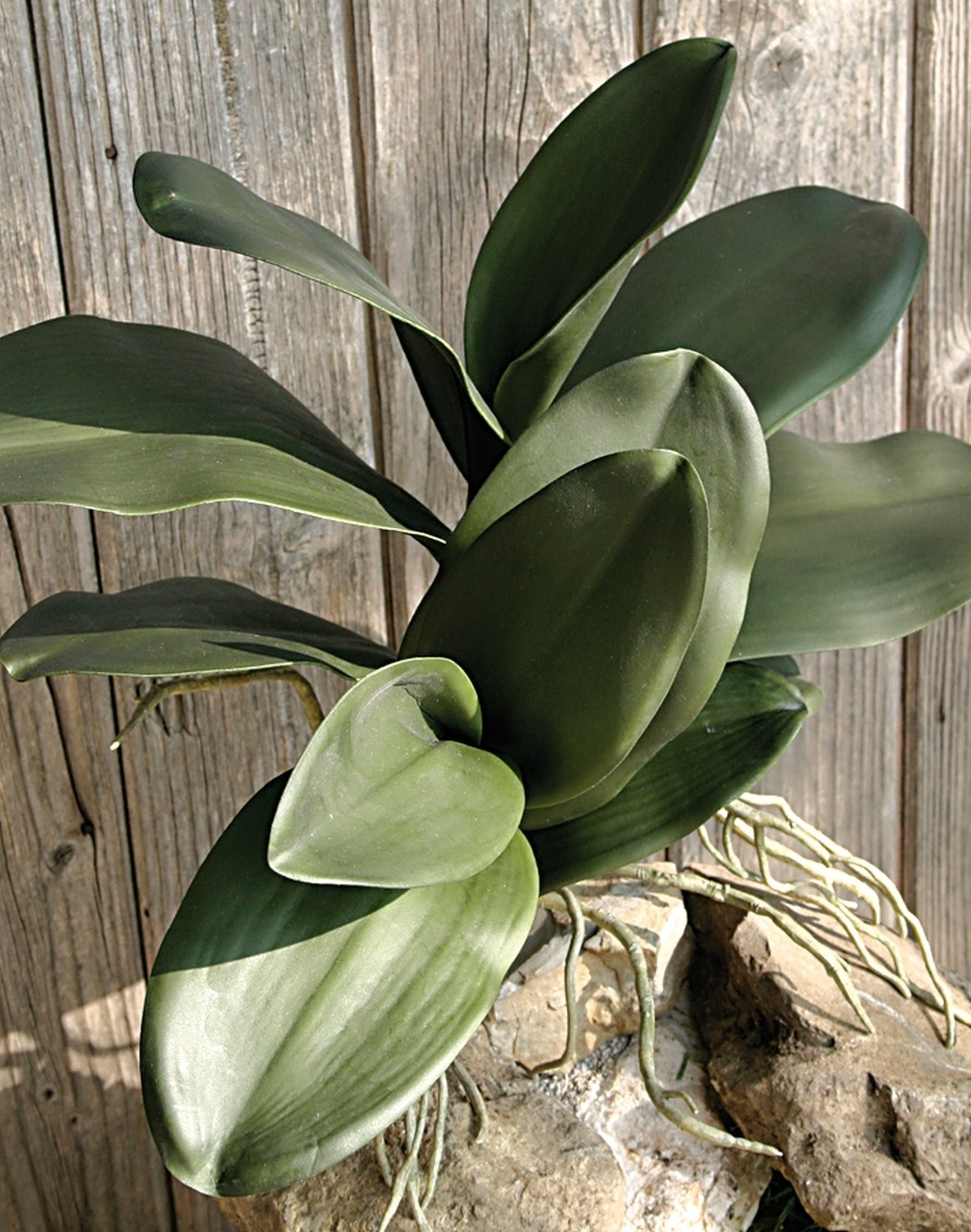 Imitation orchid plant with root, 13 leaves, 46 cm, green