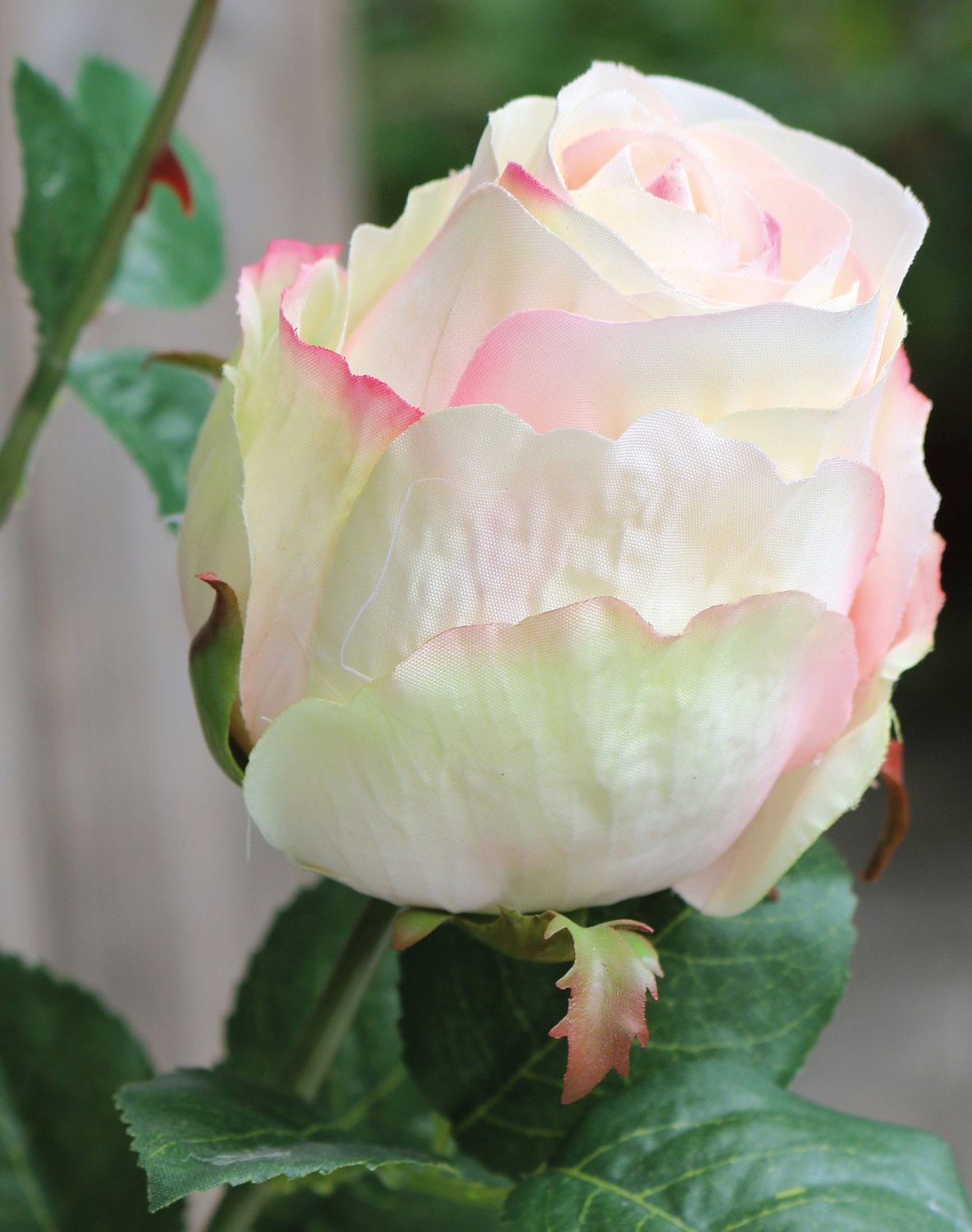 Künstliche Rose, 1 Blüten, 1 Knospen, 80 cm, creme-aprikose