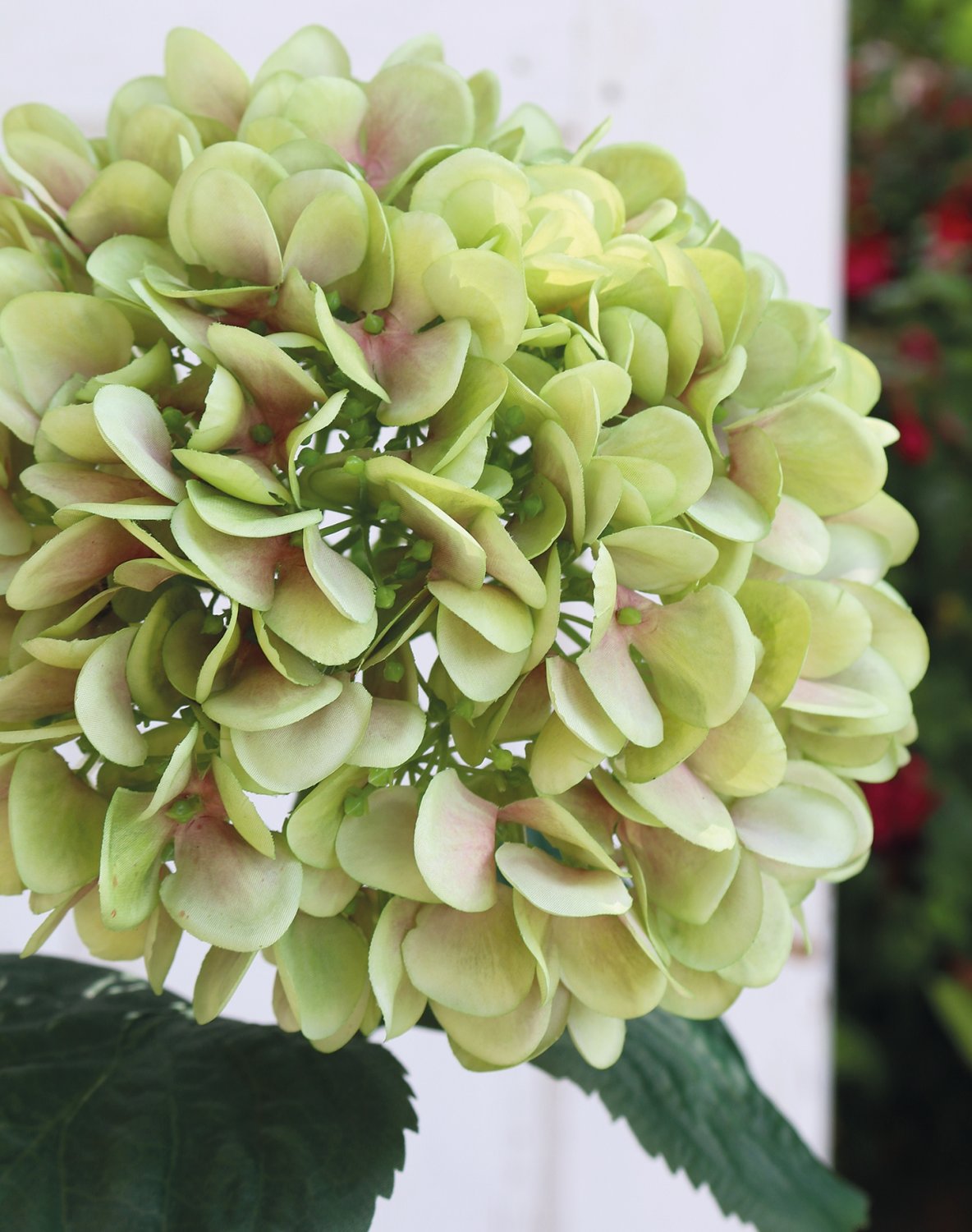 Künstliche Hortensie, 65 cm, grün Künstliche Hortensie, 65 cm, grün