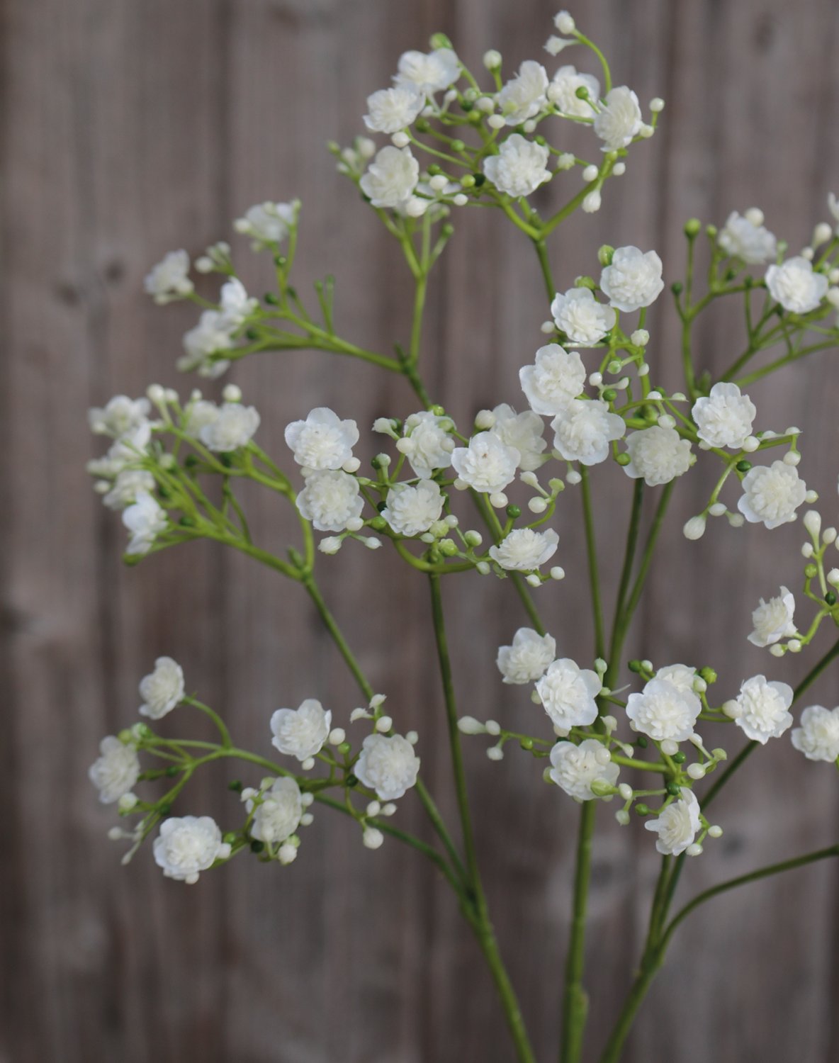 Künstliche Gypsophilia, 70 cm, creme-weiß