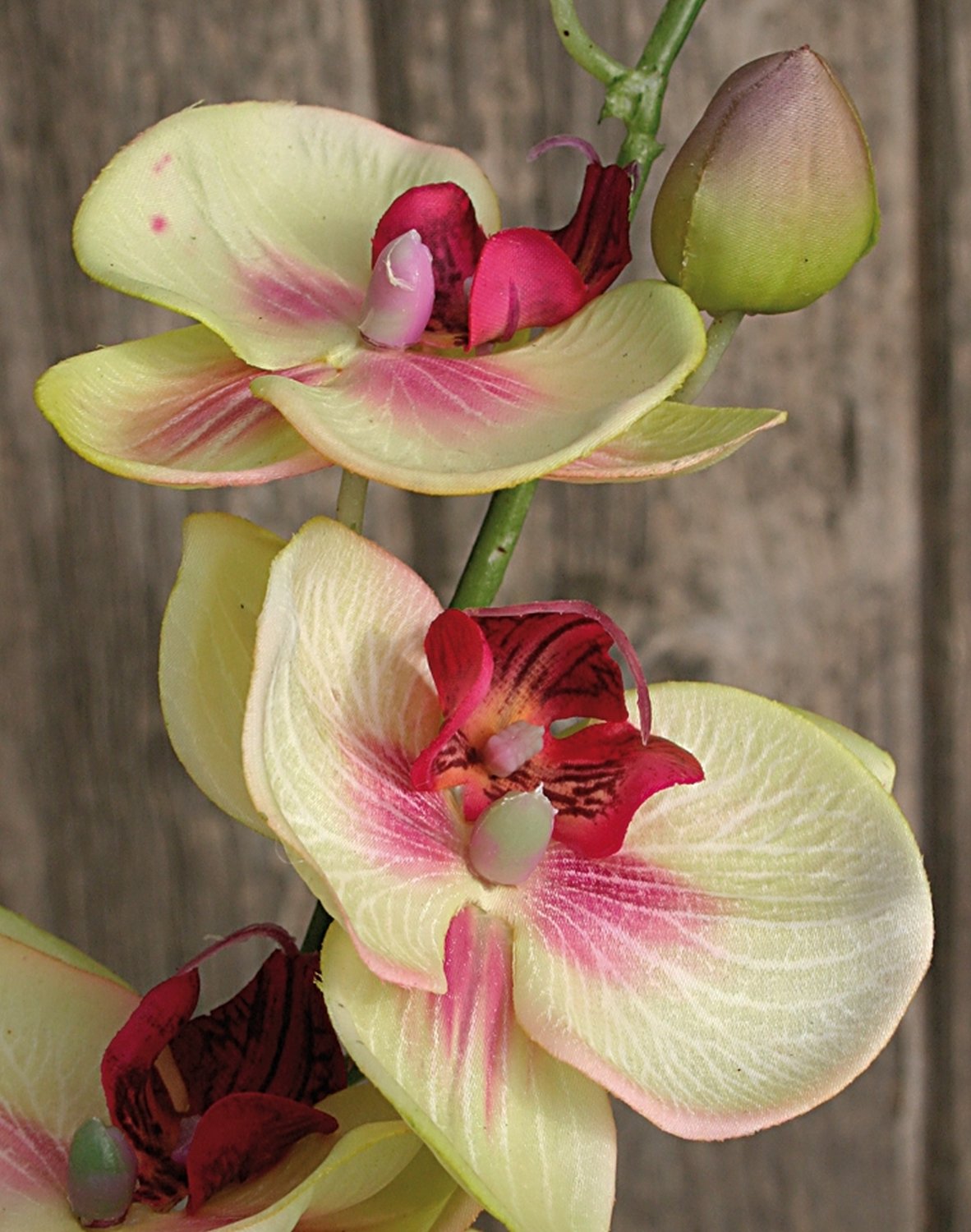 Künstliche Orchidee Phalaenopsis, 92 cm, Real Touch, grün-burgunderrot