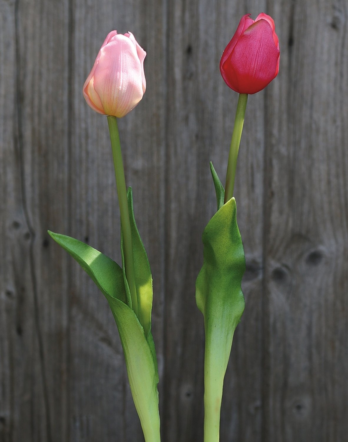 Künstliche Tulpe, französisch, 47 cm, Real Touch, rosa-grün