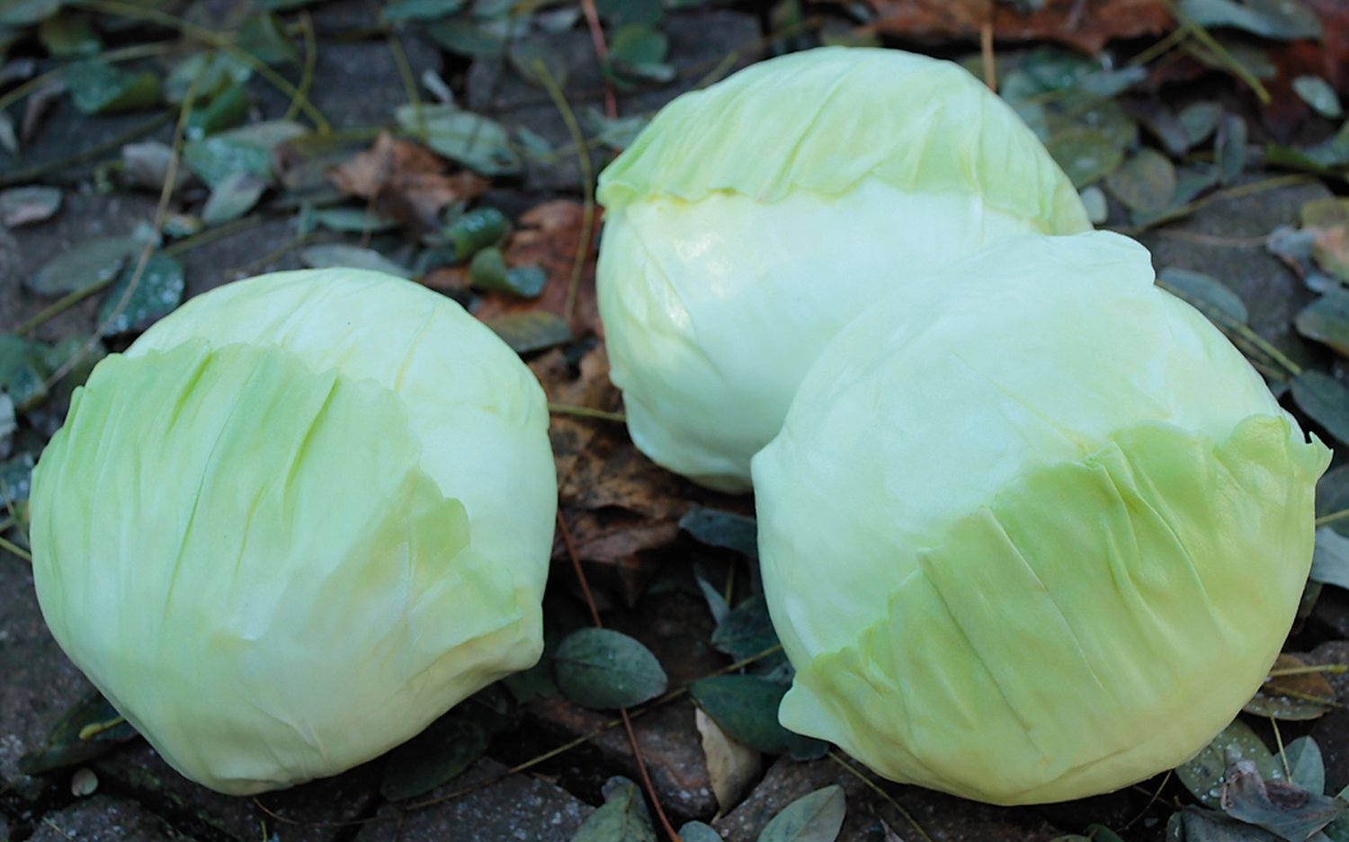 Artificial cabbage, 19 cm, light green