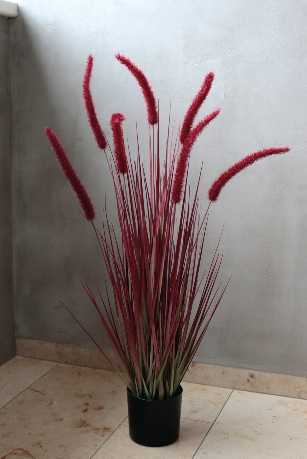 Künstlicher Grasbüschel 'Lampenputzergras', getopft, 90 cm, burgunder-grün Künstlicher Grasbüschel 'Lampenputzergras', getopft, 90 cm, burgunder-grün