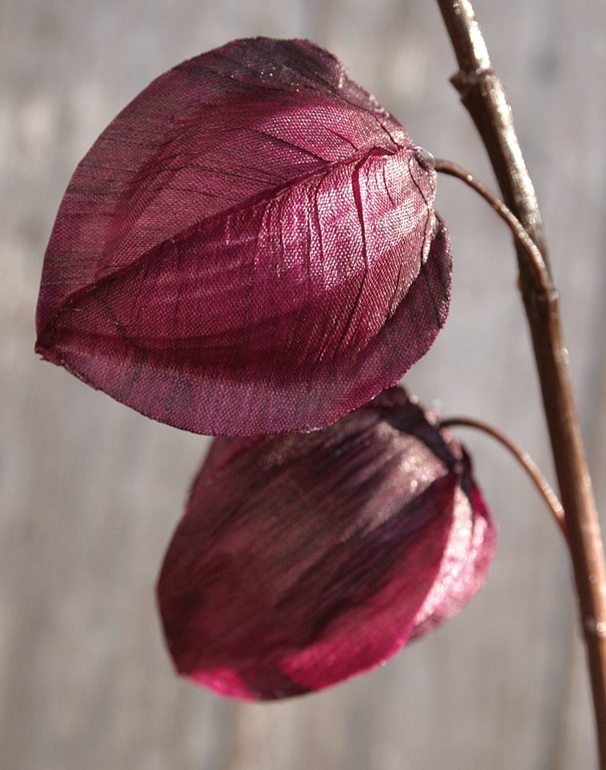 Fake physalis, 11 fruits, 95 cm, trendy purple