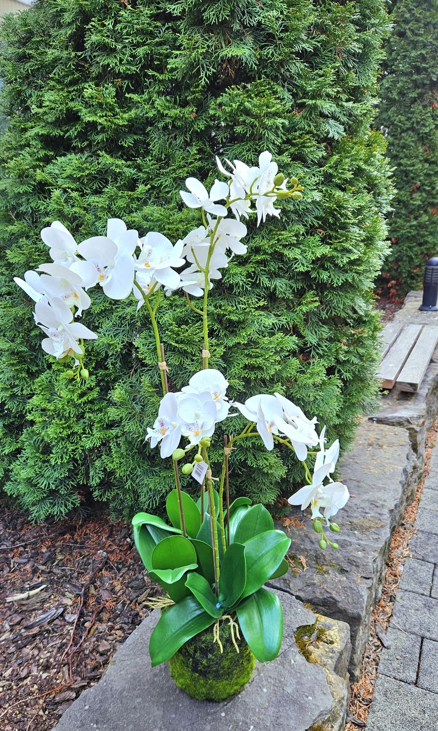 Unechtes Orchideenarangement in Erde, 110 cm, Real Touch, creme-weiß
