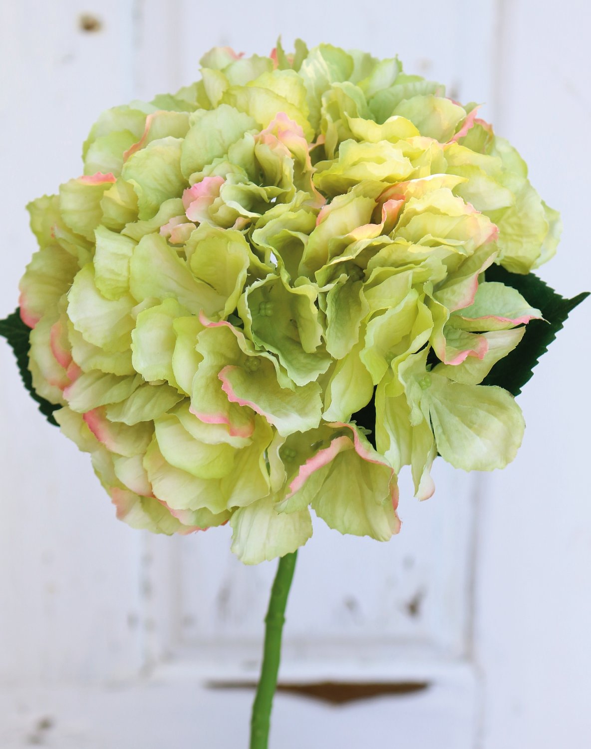 Künstliche Hortensie, 40 cm, creme-grün