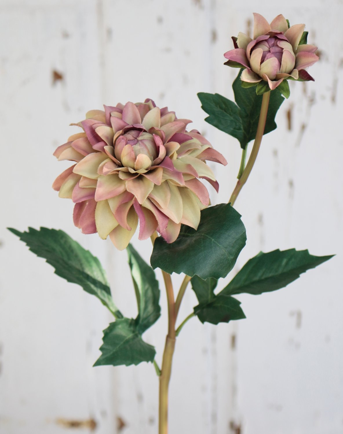 Synthetic dahlia, 56 cm, violet-green