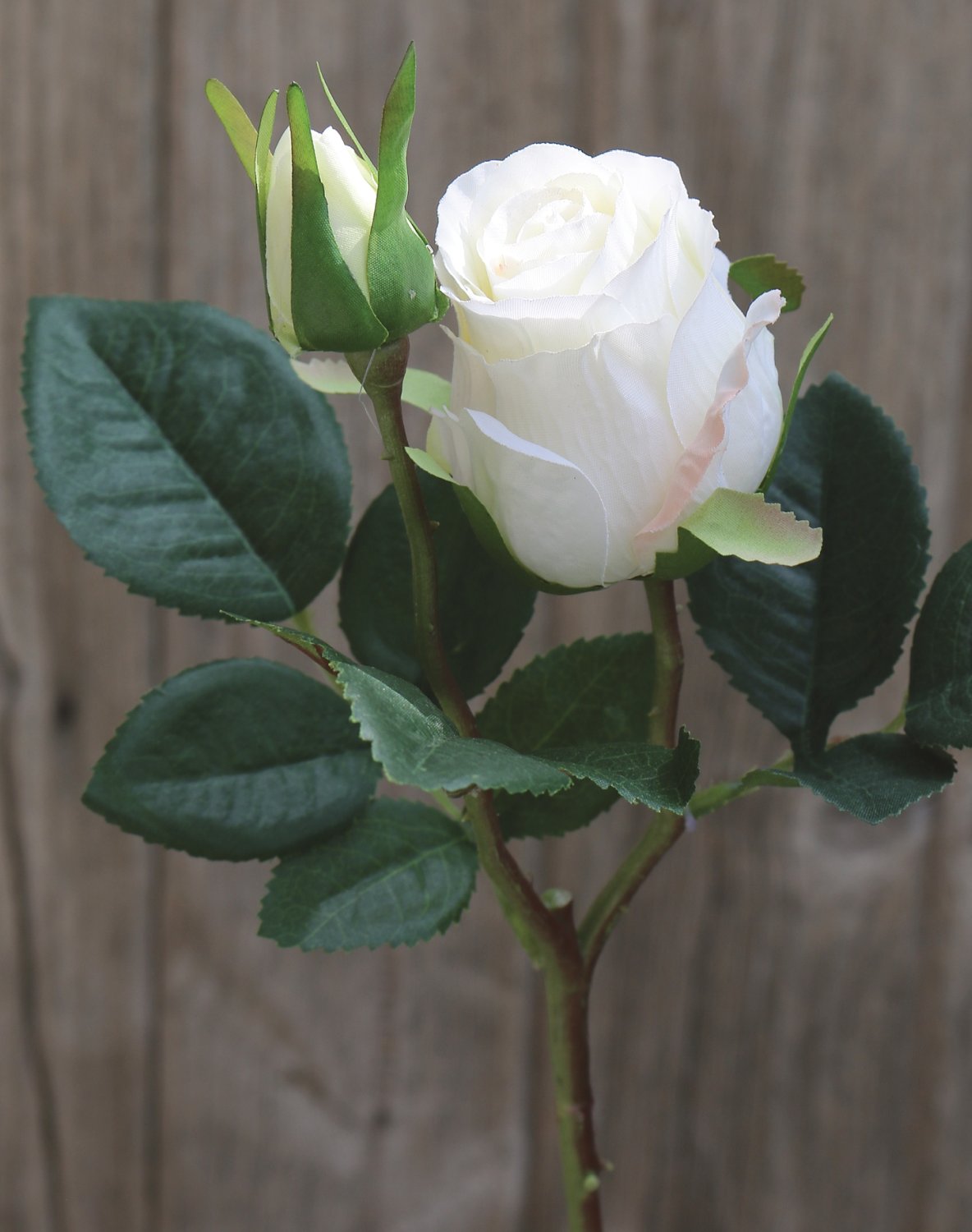 Rosa artificiale, 1 fiore, 1 bocciolo, 45 cm, bianco-crema