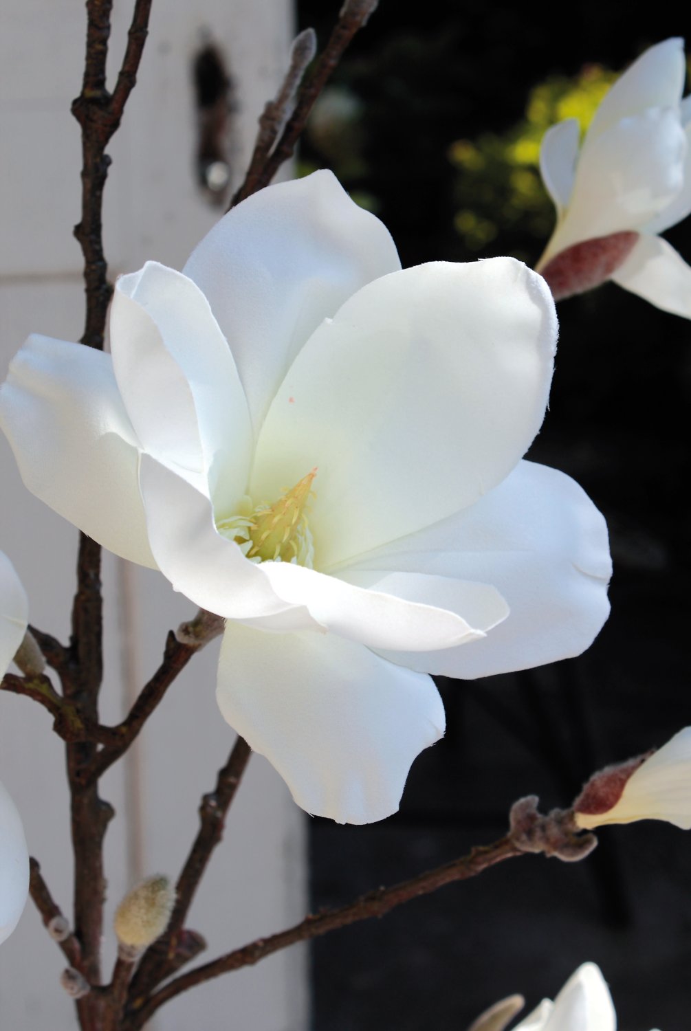 Künstlicher Magnolien Blütenzweig, 129 cm, creme-weiß