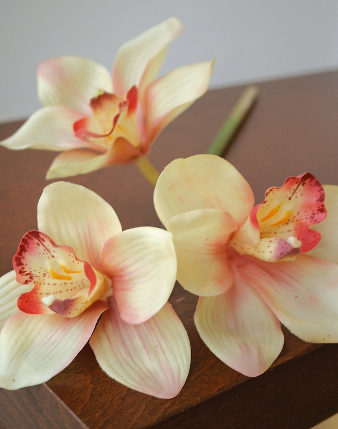 Orchidea Cymbidium artificiale, 46 cm, Real Touch, giallo-viola