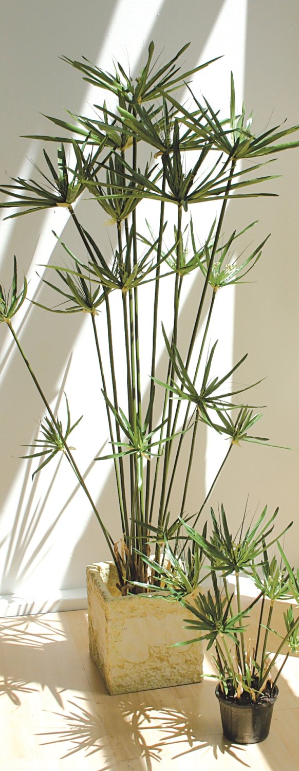 Erba artificiale di cipero, in vaso, 150 cm, verde