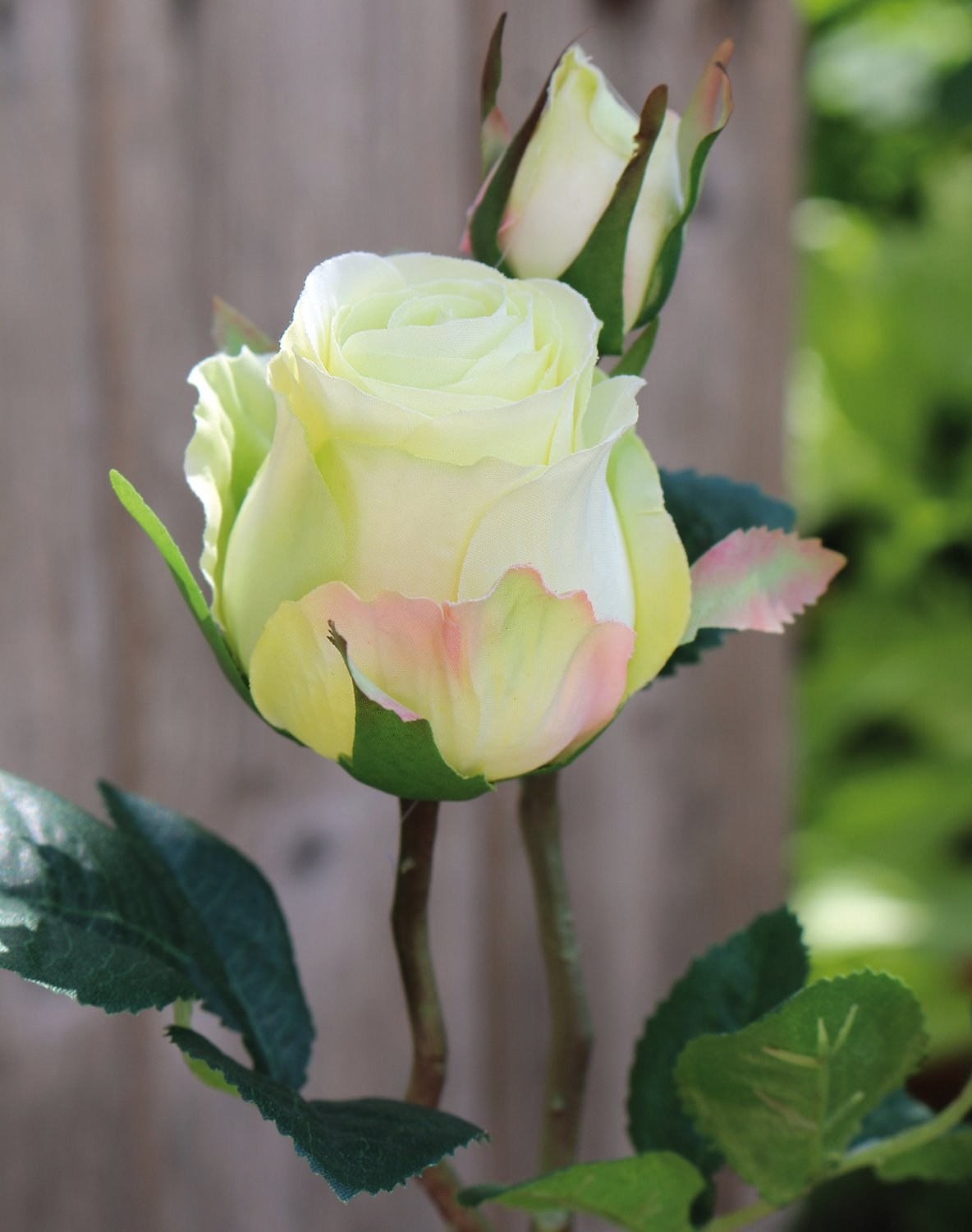 Künstliche Rose, 1 Blüte, 1 Knospe, 45 cm, creme-grün