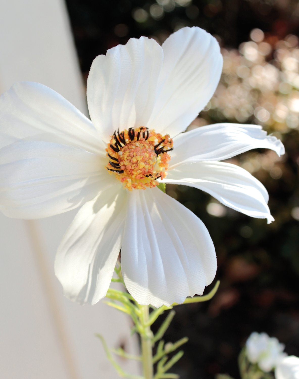 Künstliche Cosmea, 95 cm, creme-weiß