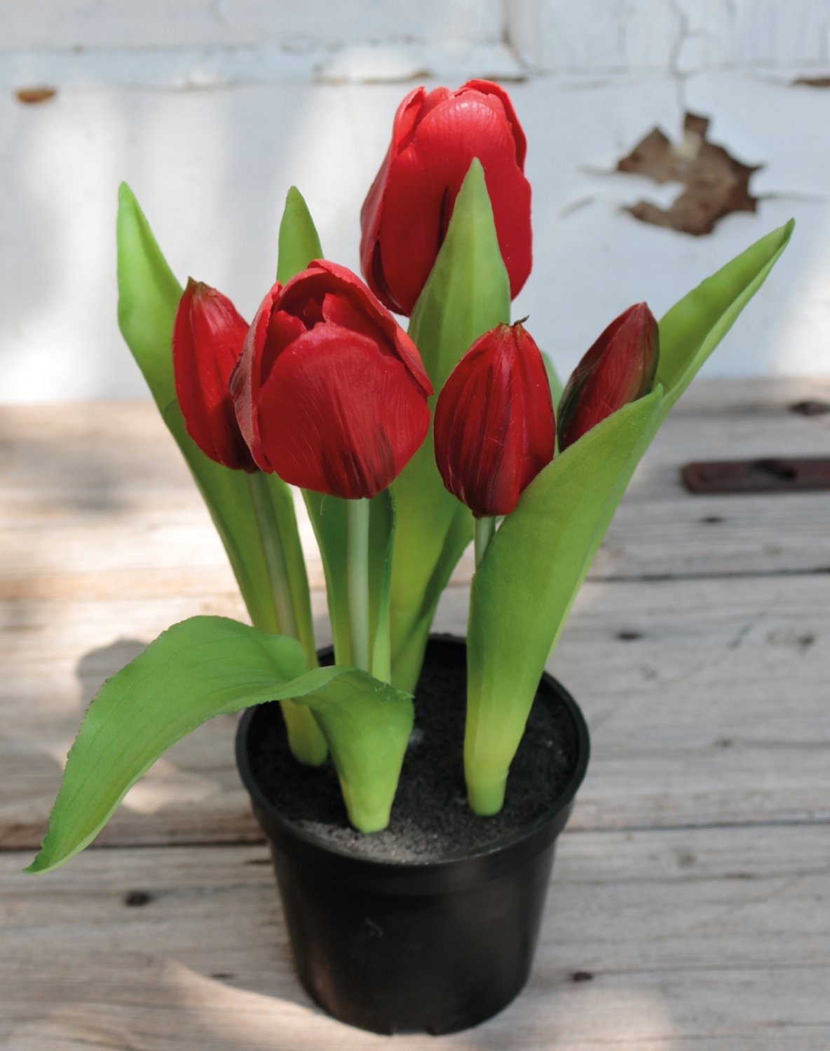Künstliche Tulpen, getopft, 5-fach, 25 cm, Real Touch, rot