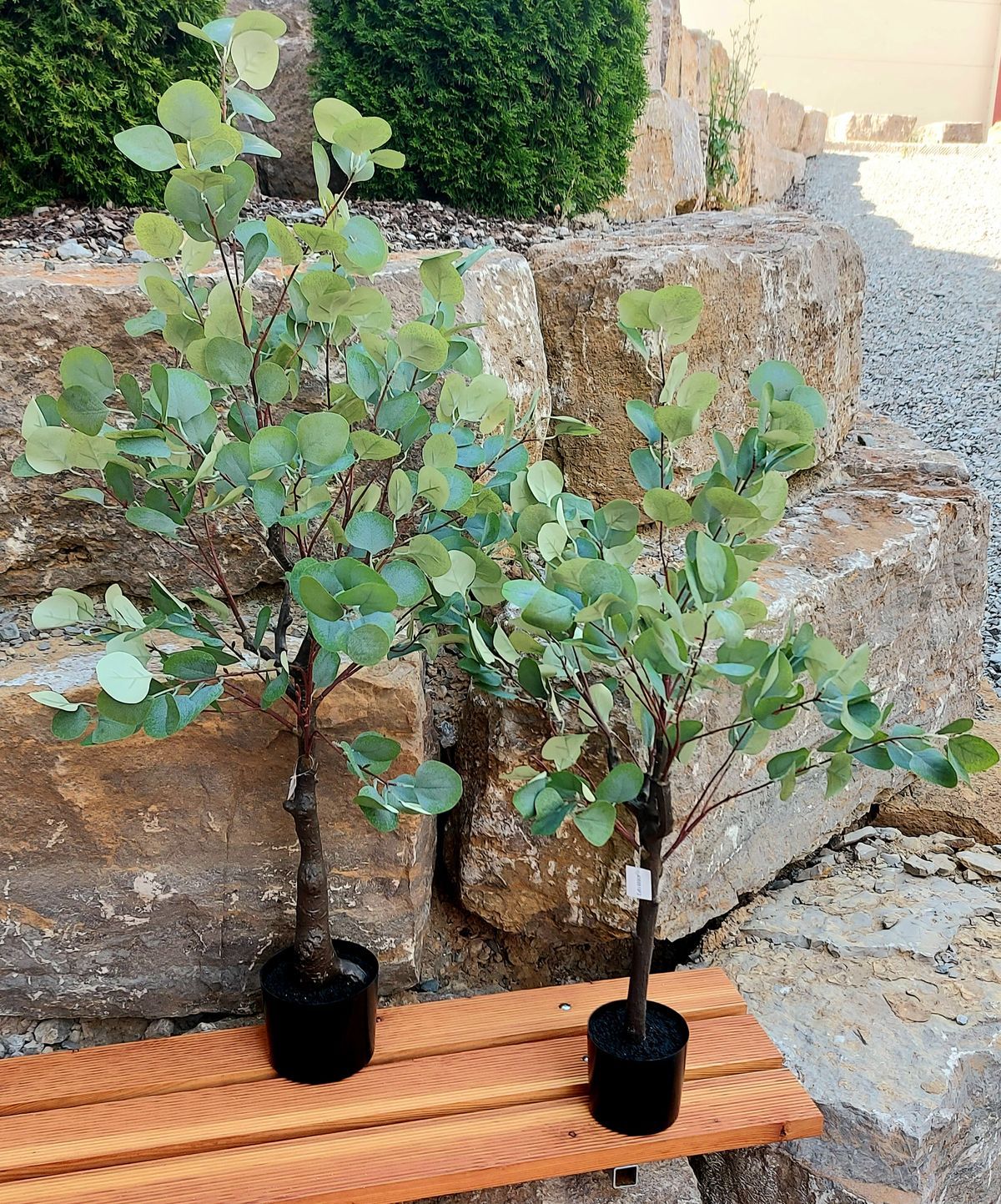 Kunstbaum Eukalyptus, getopft, 90 cm, frost-grün
