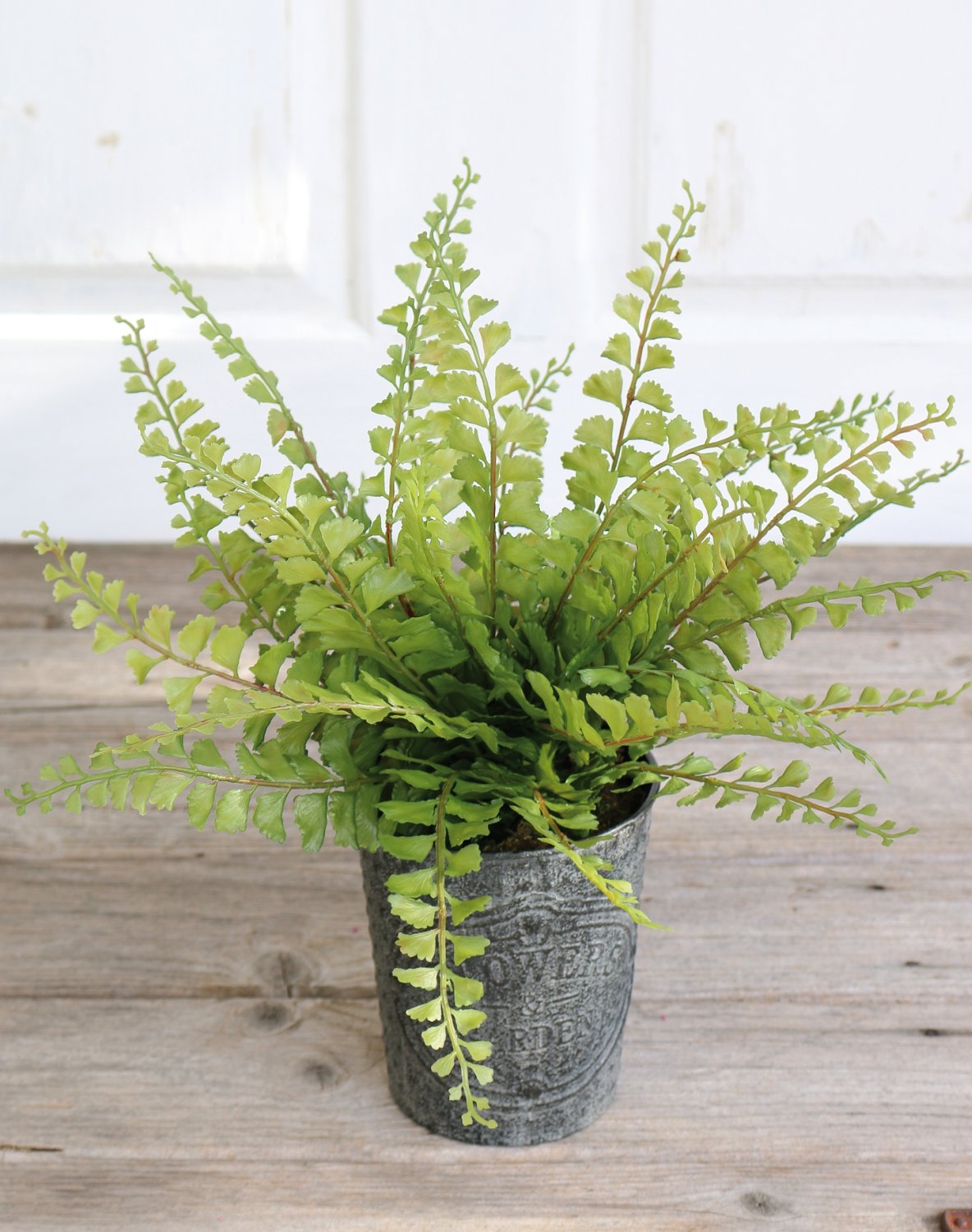 Fake maidenhair fern, potted, 35 cm, green