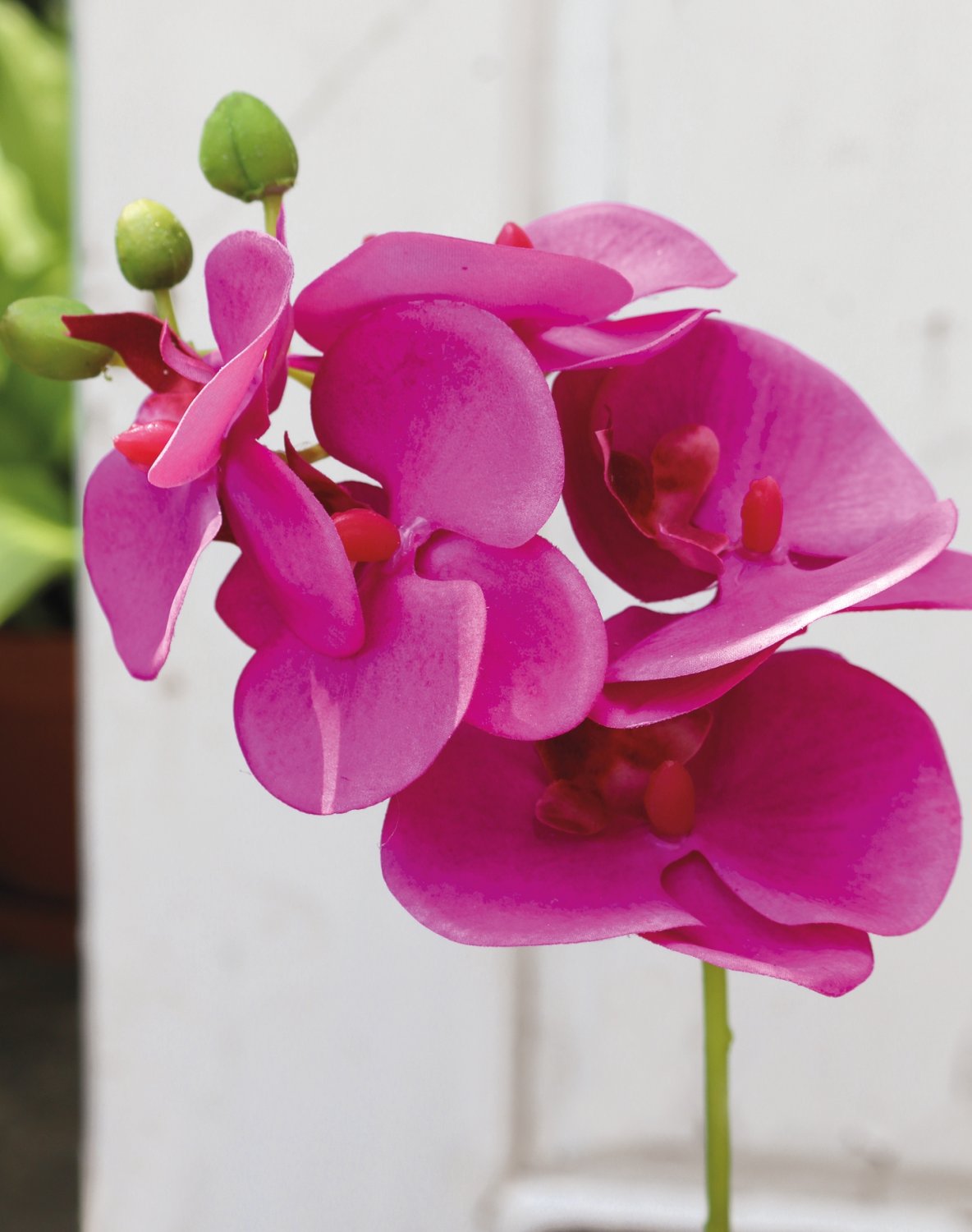 Künstliche Orchidee Phalaenopsis, 37 cm, Real Touch Soft, cerise