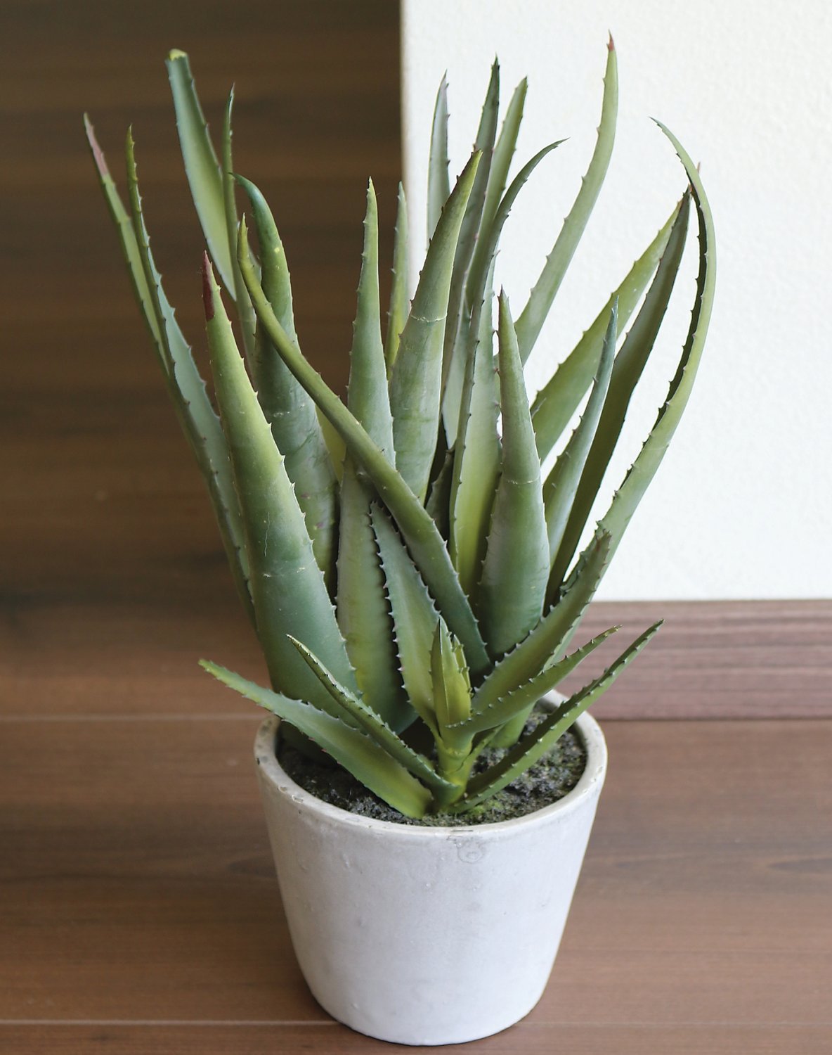 Fake aloe, potted, 40 cm, green