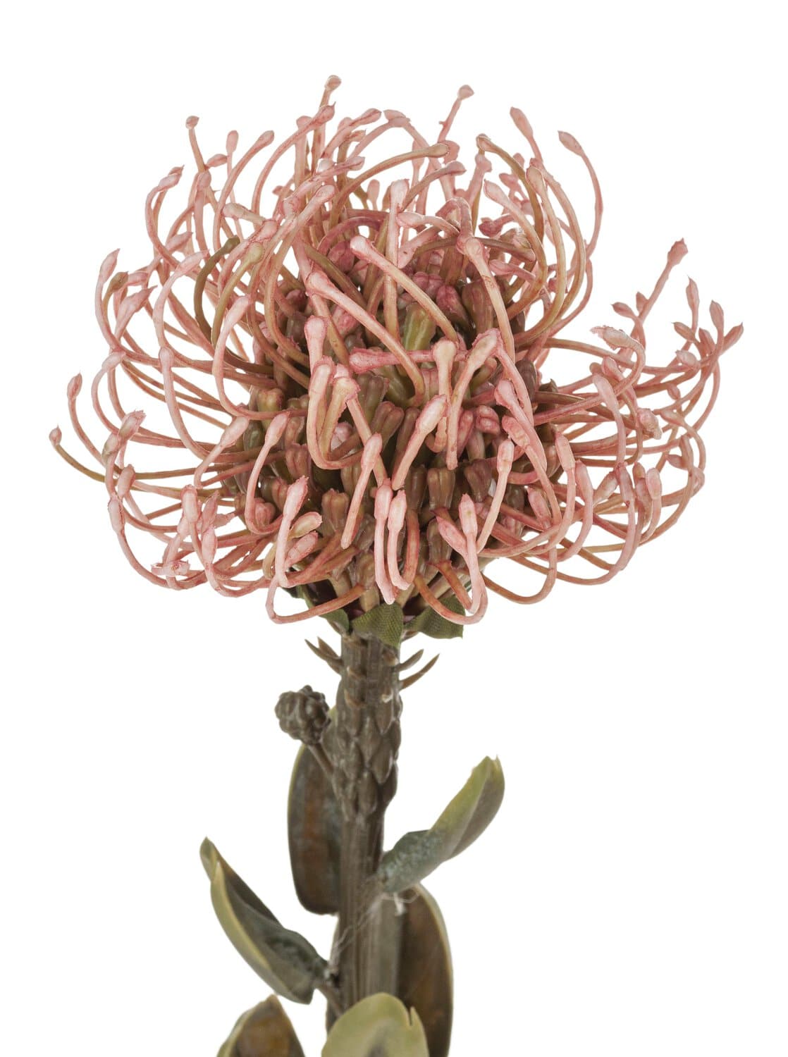 Kunst Protea "Vintage", 61 cm, antik-dunkelrosa