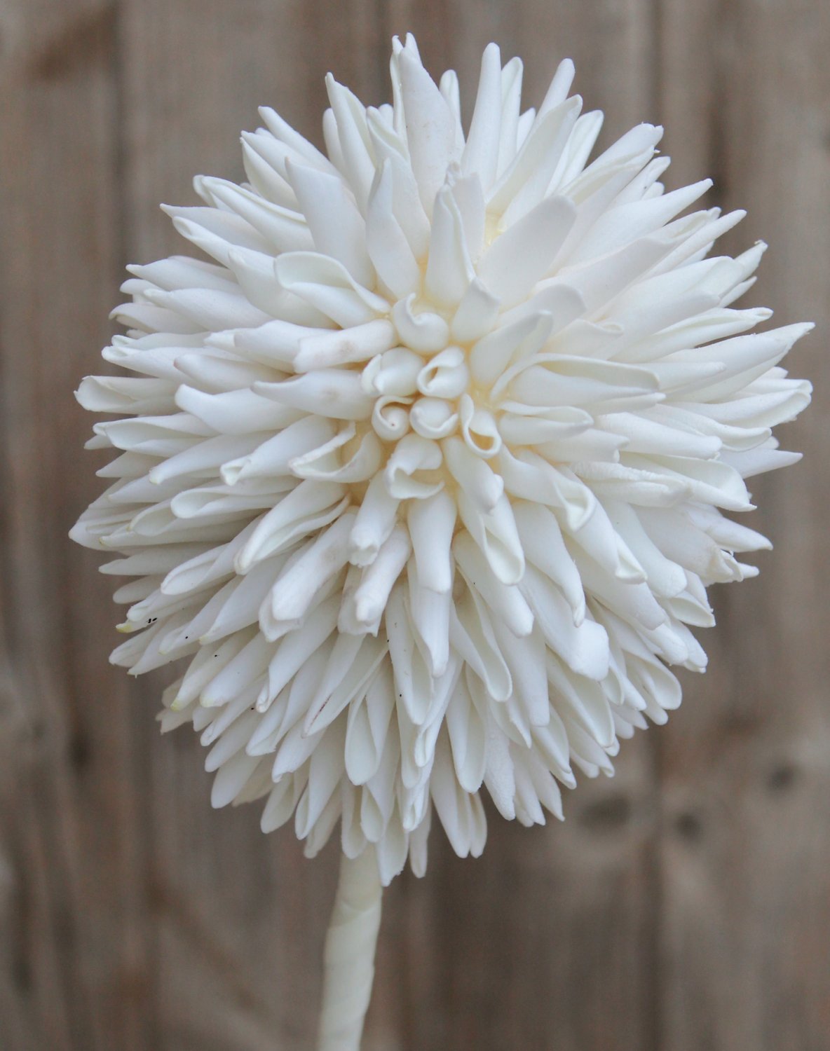 Artificial soft flower 'allium', 80 cm, pure white
