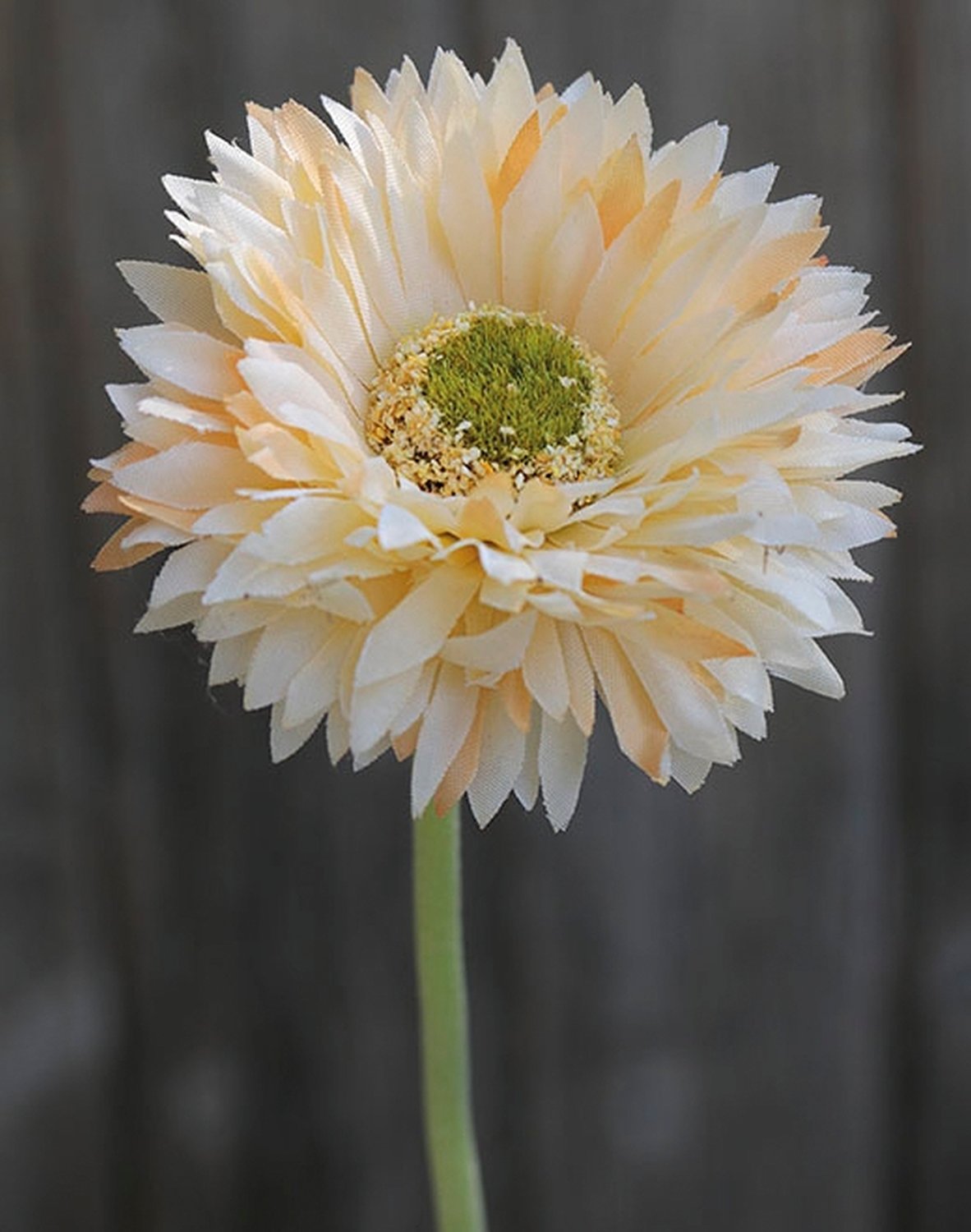 Gerbera artificiale con stelo floccato, 46 cm, albicocca