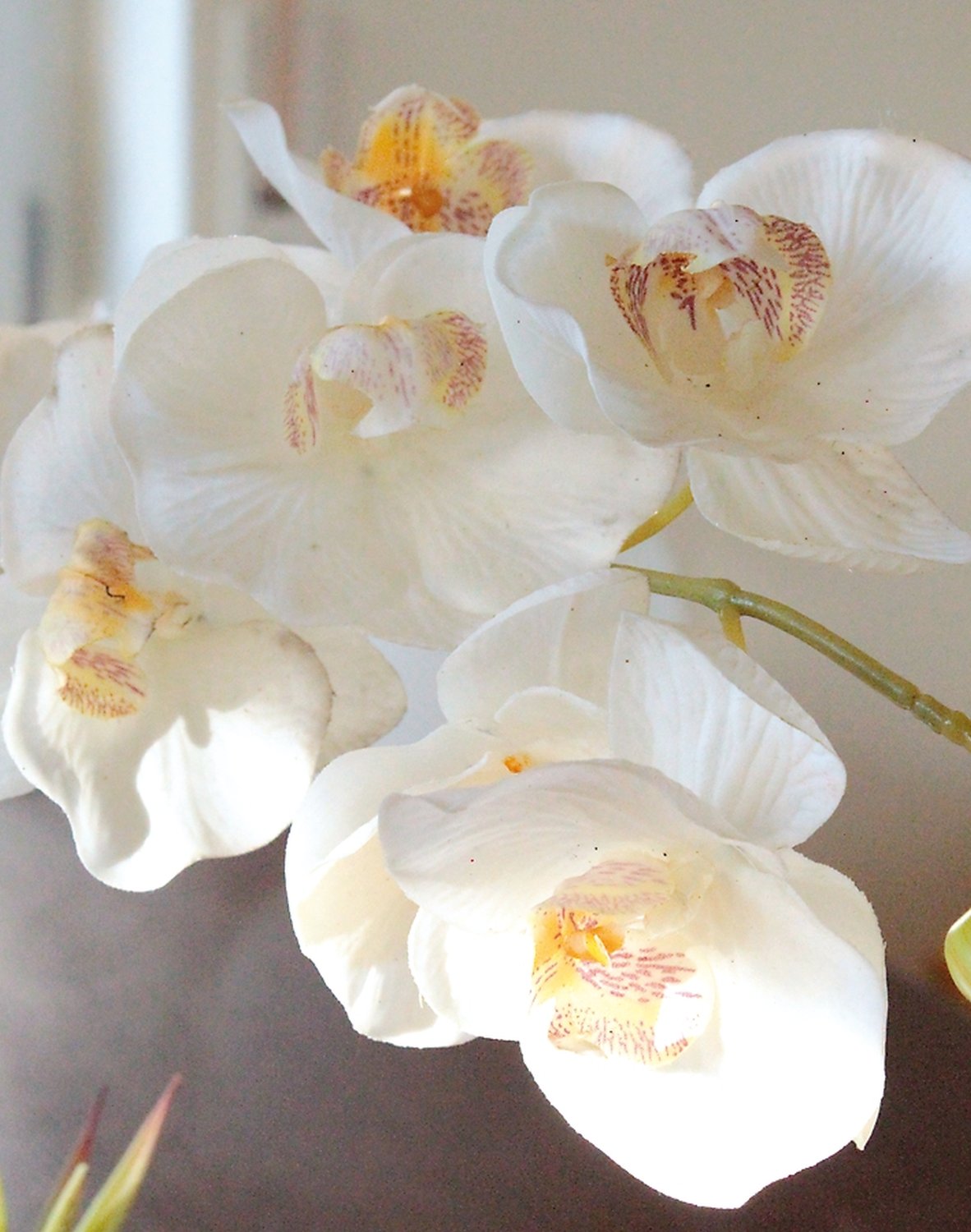 Orchidea Phalaenopsis artificiale in bottiglia di ceramica, 64 cm, bianco-crema