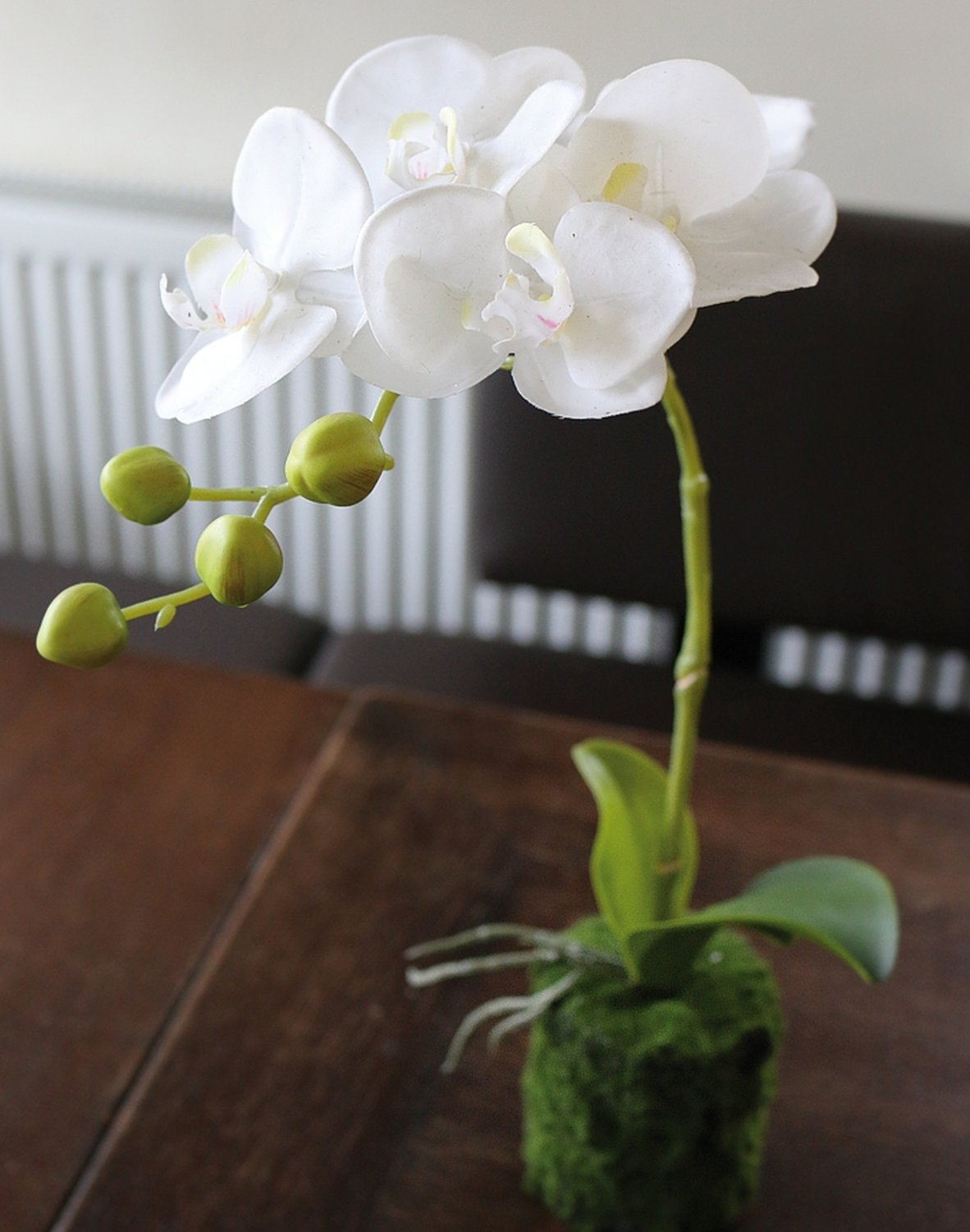 Künstliche Orchidee Phalaenopsis in 'Erde', 43 cm, Real Touch, weiß