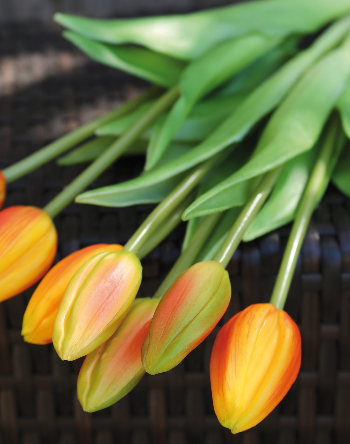 Artificial tulip bouquet, 7-fold, 44 cm, real touch, orange