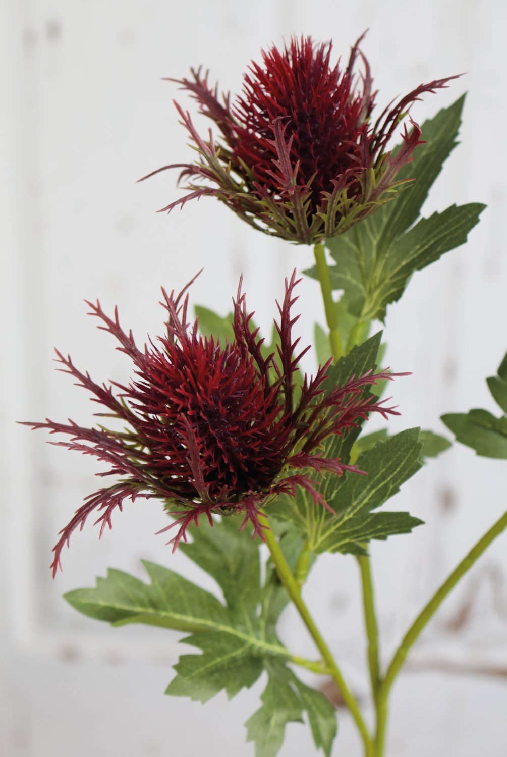 Faux thistle, 3 flowers, 67 cm, dark violet