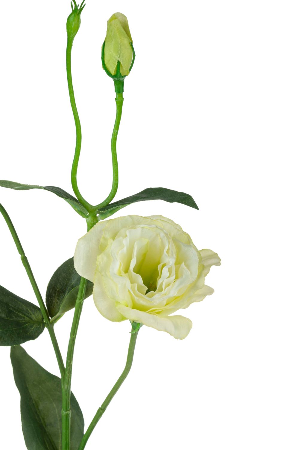 Unechte Lisianthus Blume, 67 cm, creme-grün