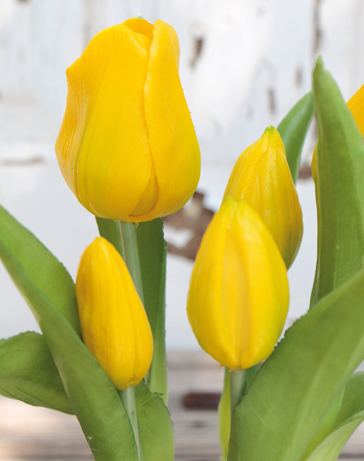 Künstliche Tulpen, getopft, 5-fach, 25 cm, Real Touch, gelb