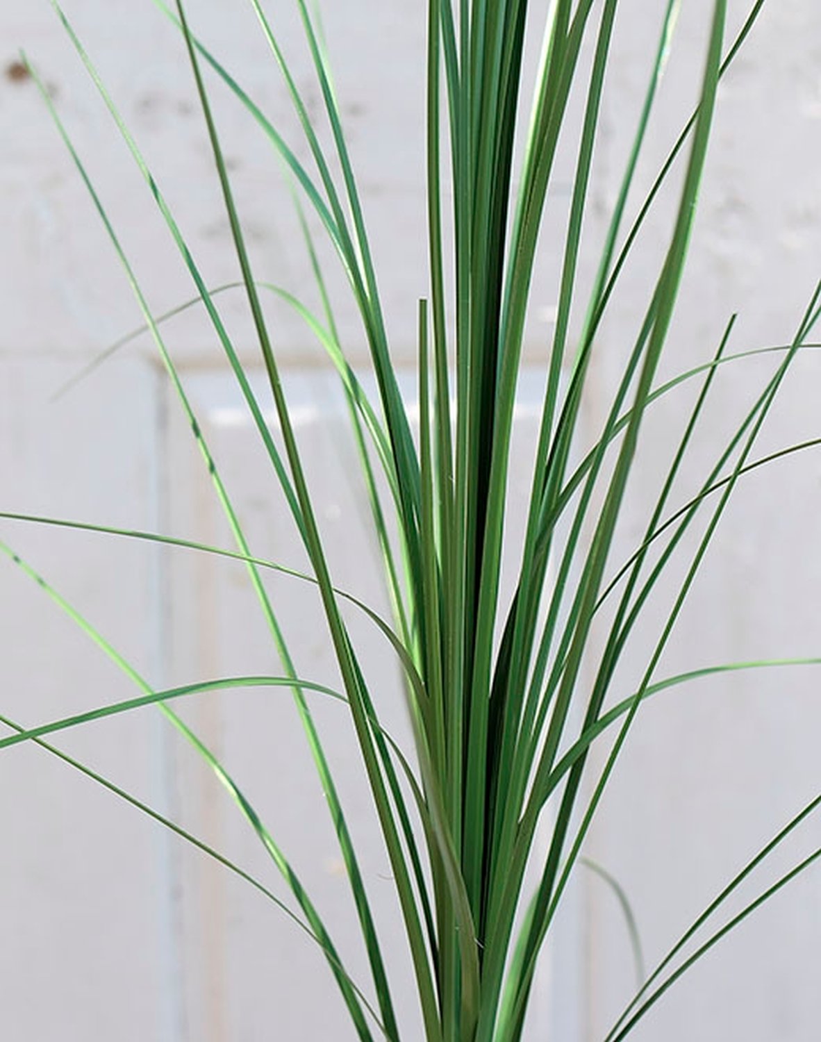 Artificial isolepis grass, 90 cm, green