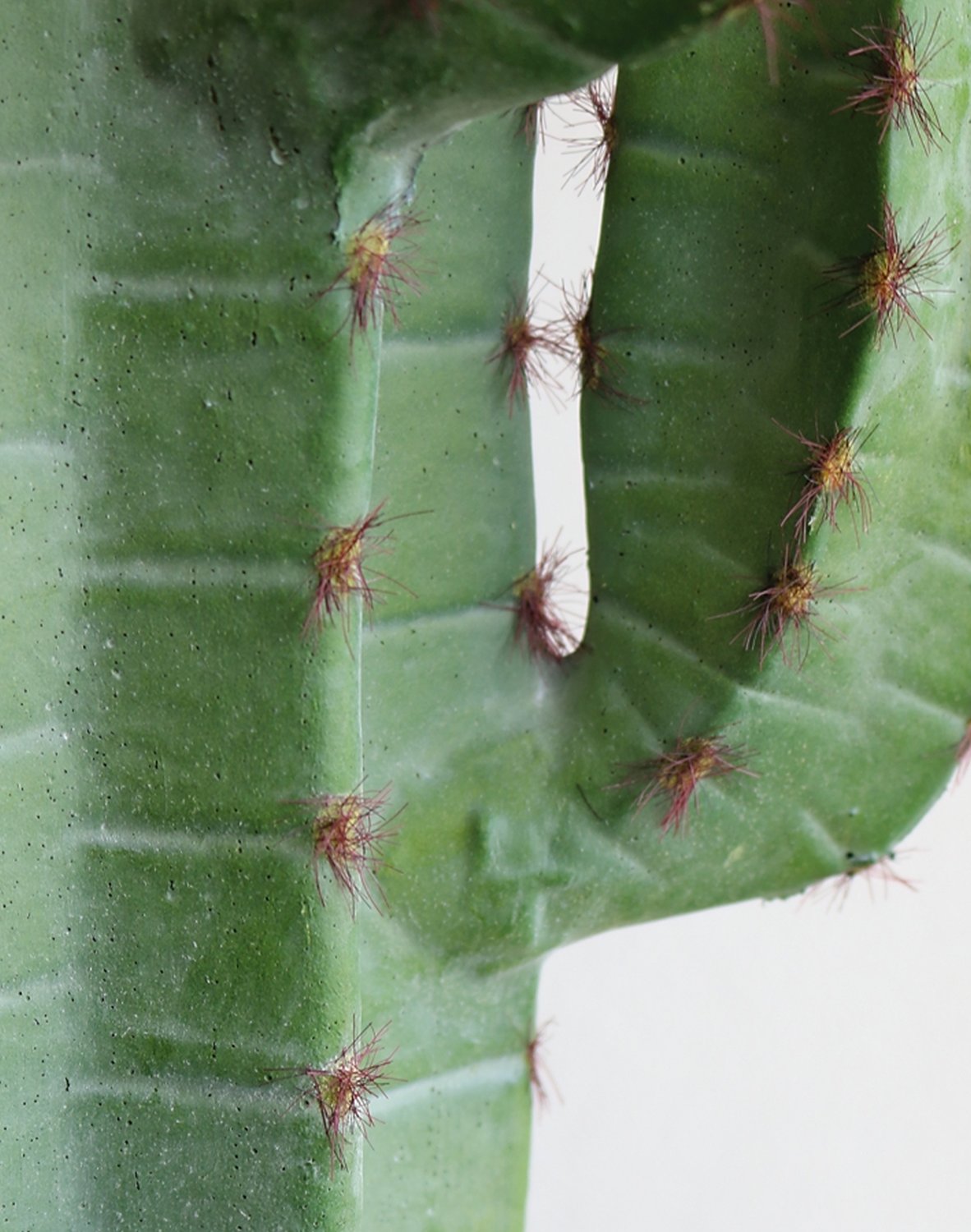 Cactus cereus artificiale, in vaso, 160 cm, verde