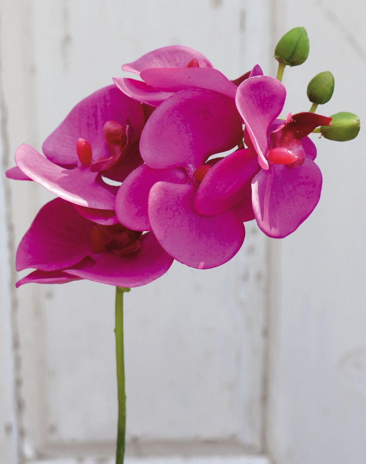 Künstliche Orchidee Phalaenopsis, 37 cm, Real Touch Soft, cerise