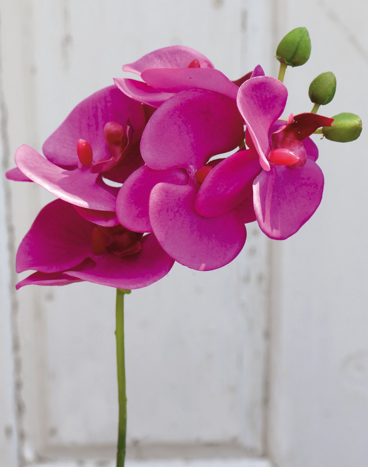 Phalaenopsis de plástico, 37 cm, tacto real suave, cereza Phalaenopsis de plástico, 37 cm, tacto real suave, cereza
