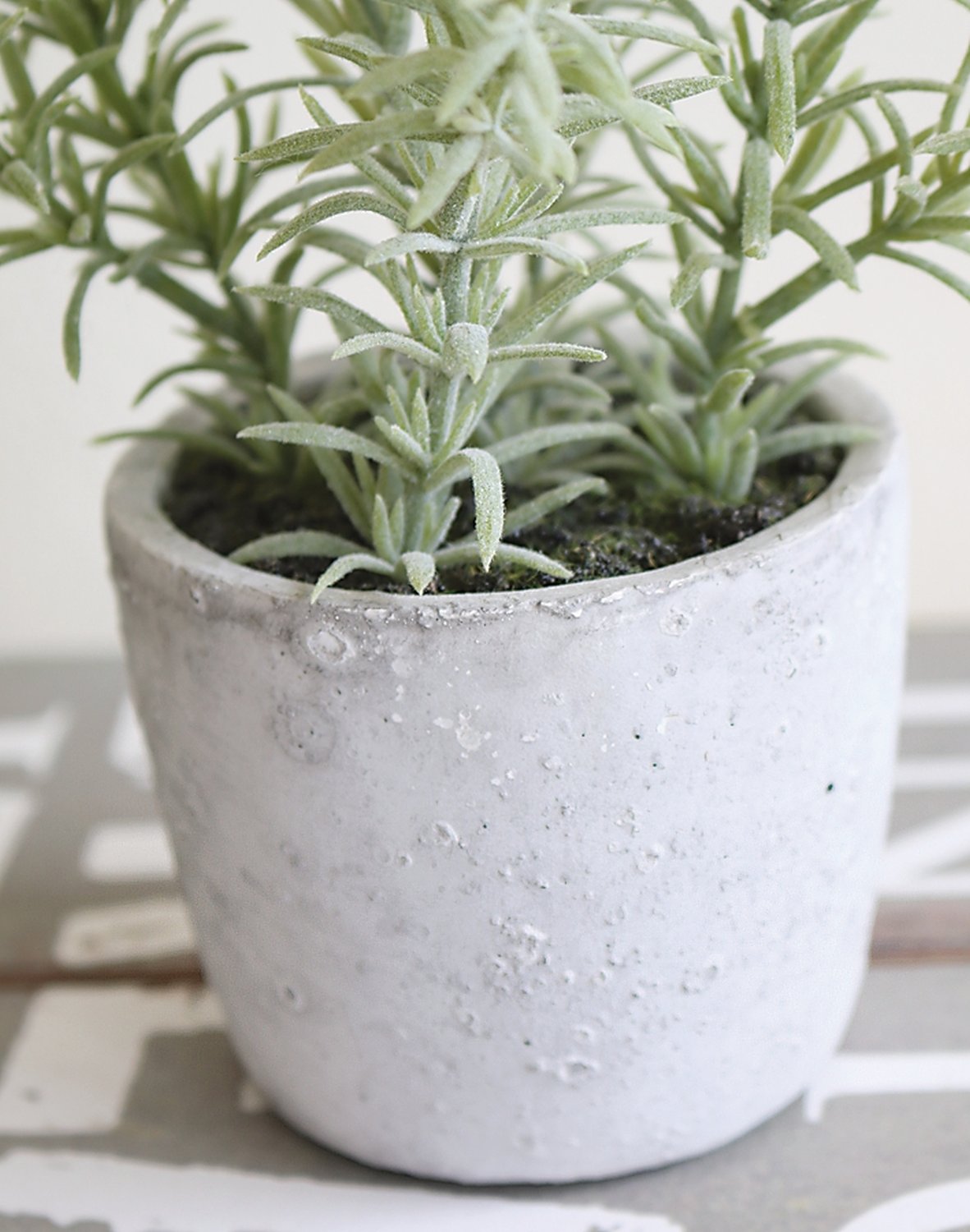 Faux rosemary, potted, 19 cm, green