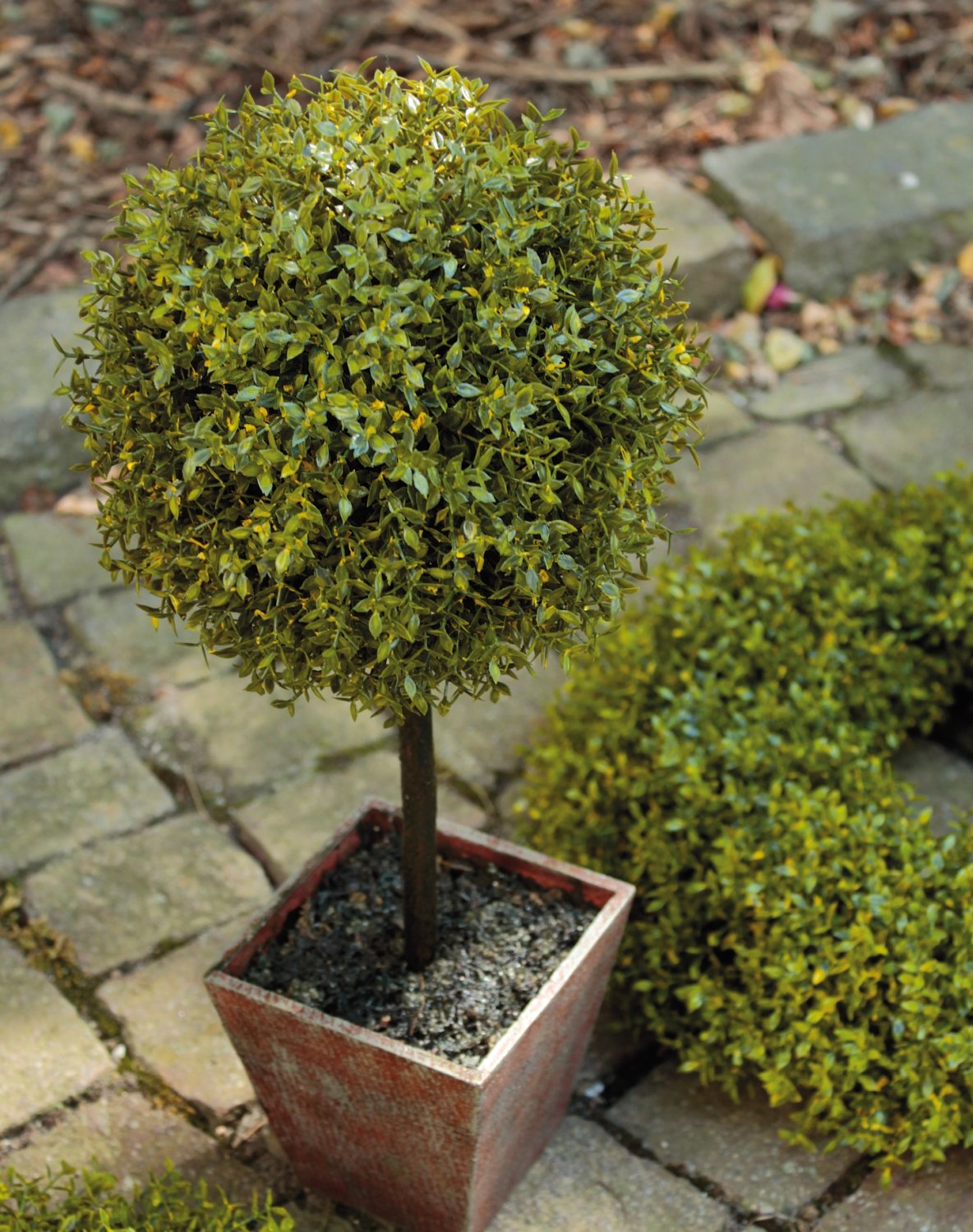 Künstlicher Buchs Kugelbaum, getopft, 55 cm, grün