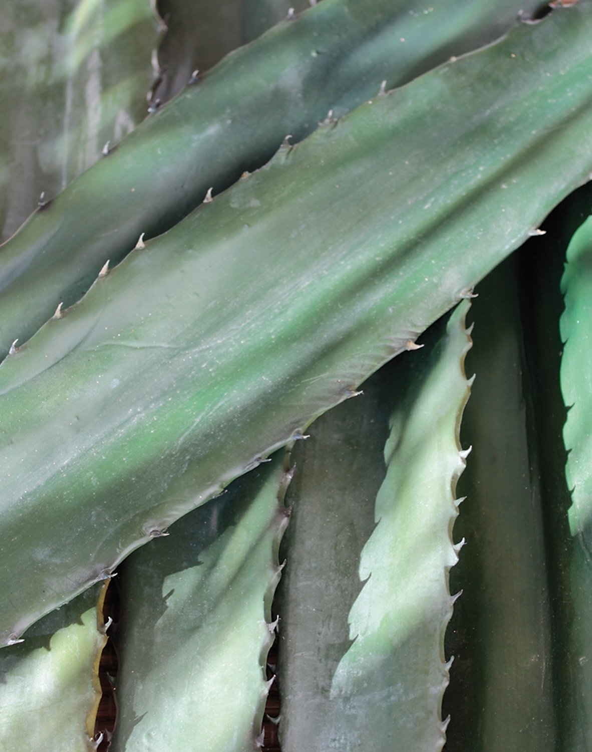 Artificial aeonium leaf, 73 cm, green