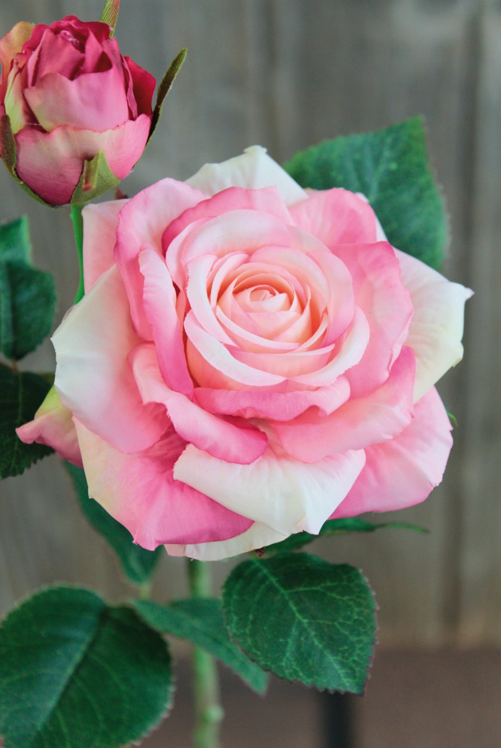 Artificial rose, 1 flower, 1 bud, 37 cm, real touch soft, light pink-dark rose