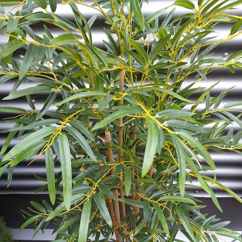 Artificial bamboo, potted, 210 cm, green