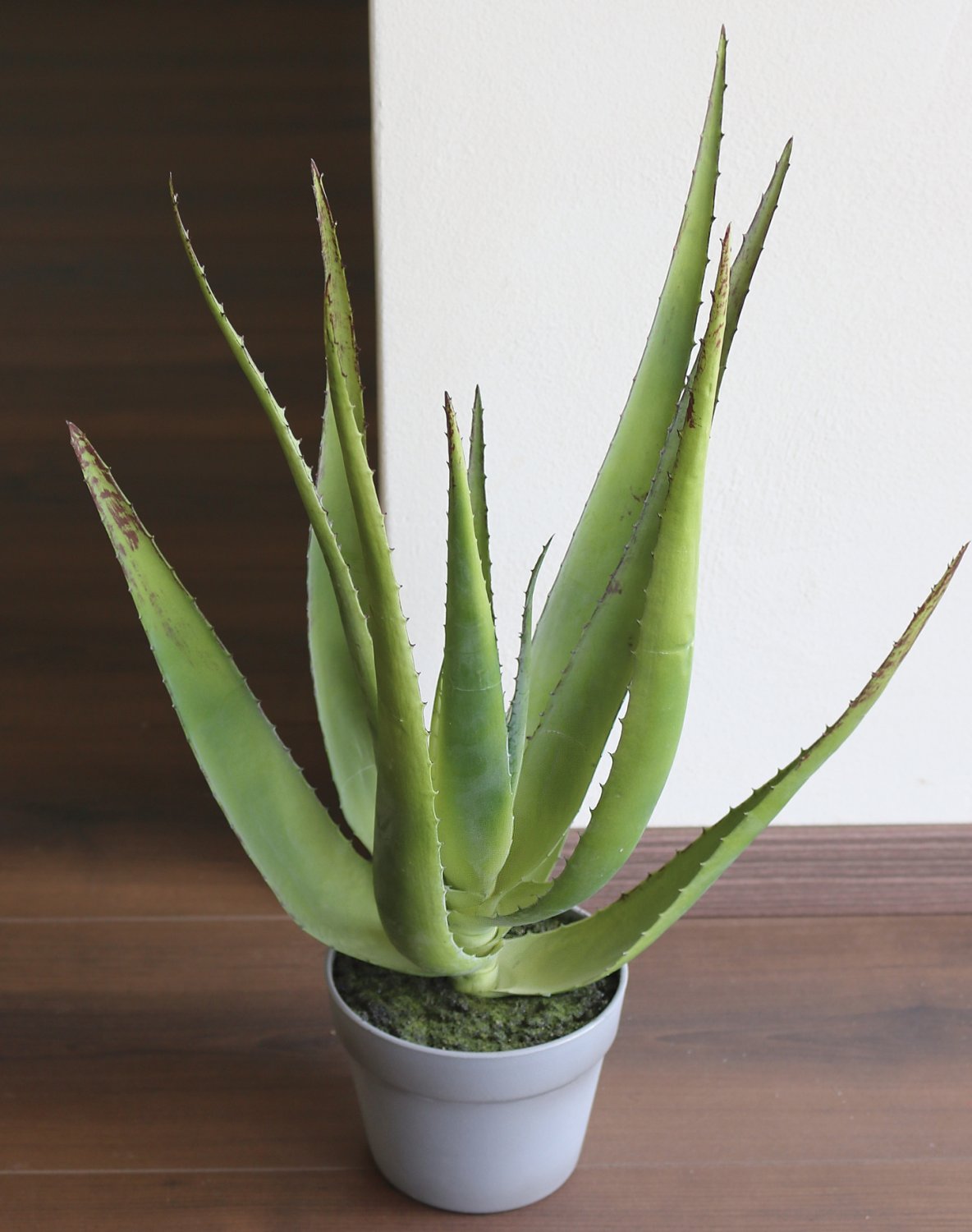 Aloe artificiale in vaso, 50 cm, verde