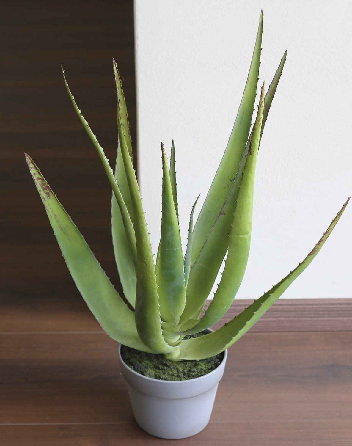 Aloe artificial en maceta, 50 cm, verde Aloe artificial en maceta, 50 cm, verde