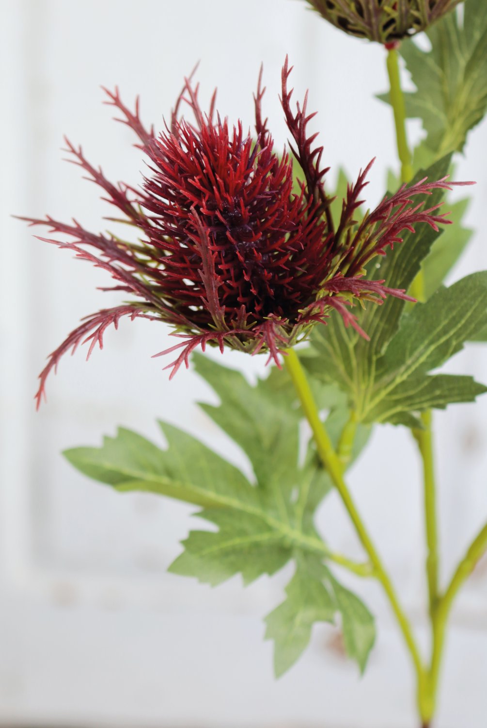 Faux thistle, 3 flowers, 67 cm, dark violet