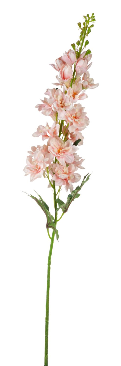 Uneche Delphinium Blume, 74 cm, hellrosa